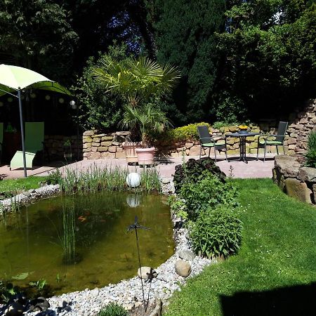 Ferienwohnung Trommblick - Natur Pur - Rimbach Im Odenwald Esterno foto