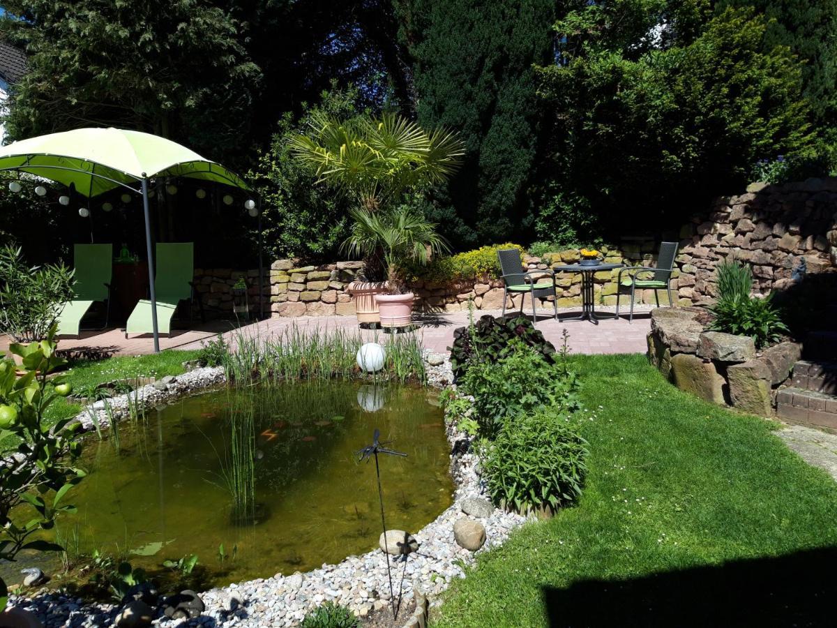 Ferienwohnung Trommblick - Natur Pur - Rimbach Im Odenwald Esterno foto